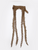 Garter Belt